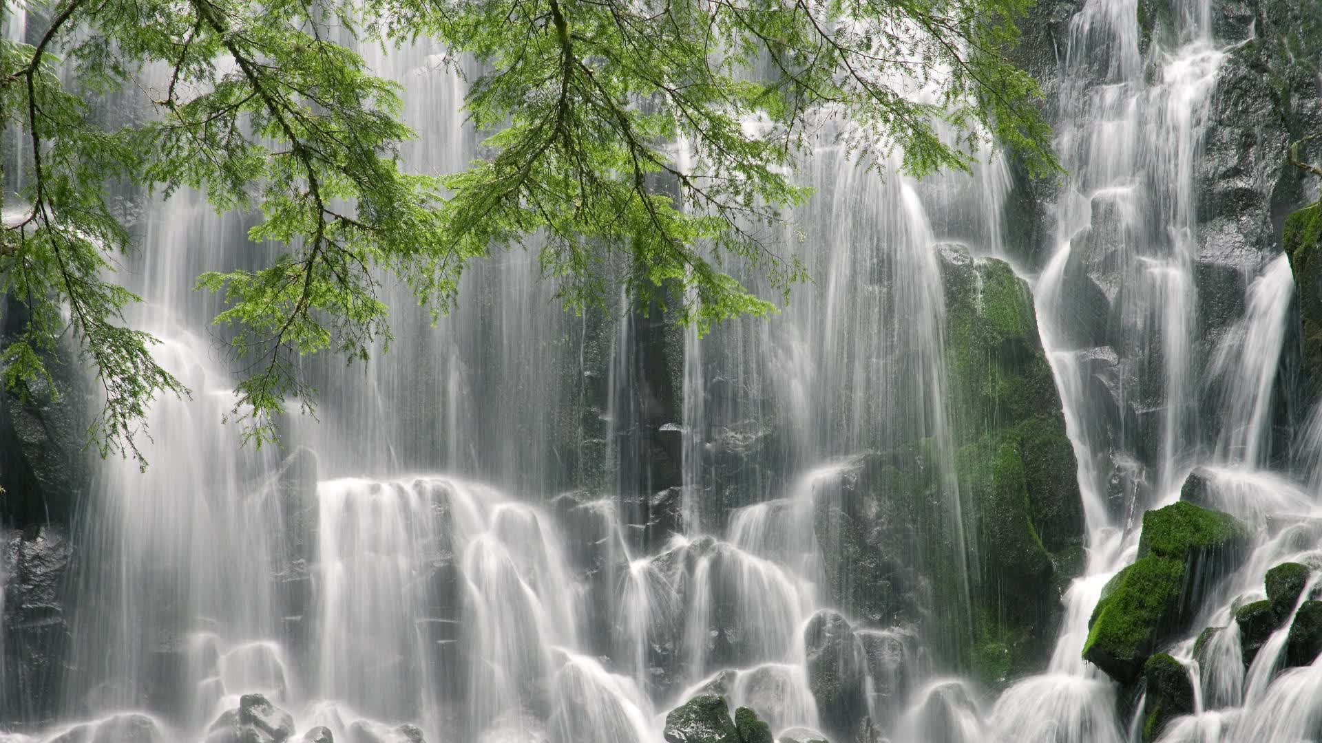 世界帆船赛事海上救援物资仓储管理系统上线通告,海上救援船的重要组成